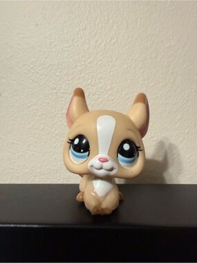 Littlest Pet Shop Chinchilla #2242 Tan White Blue Eyes LPS Hasbro